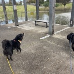 毎日女子会！～日々楽々～