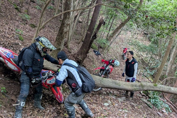 オフロードハンターの日記 - セロー