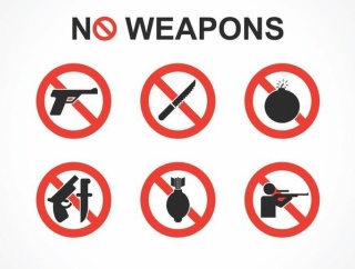 エジプト「お前らの国はどれくらいの武器なら携帯してOKなんだ？」