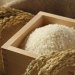 30代女「妊娠したい…」→ﾒﾙｶﾘ「妊娠米で8人妊婦してます！」→女「購入！」→結果ｗｗｗ