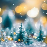 『人生と共にあった音楽』の画像