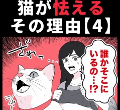 身近で起こった怖〜い話【猫が怯えるその理由・４】