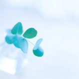 『絶縁していた伯母親子のこと』の画像