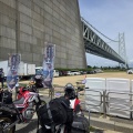 長崎に向けて出発　丸亀へ　(*ΦωΦ*)にゃー　