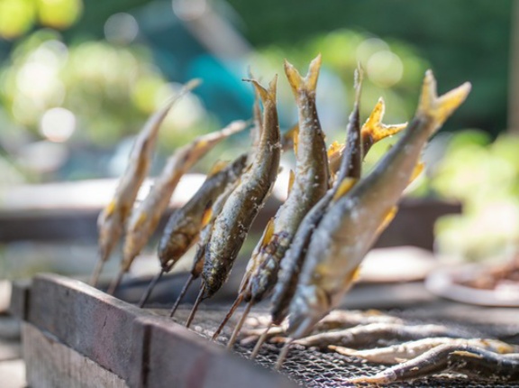 渓流の魚を食ったことある奴ちょっと来てくれ