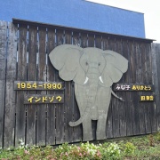 姉と一緒に三島1泊旅行④あぁ 思い出の楽寿園