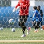 Tedious diary more x4