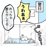 こうさぎ みんの日常