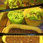  50代★音と性と自由♪