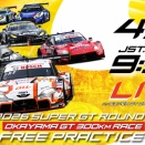 Rally Japanまで51日