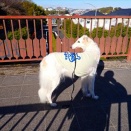 ゆっくりのんびり歩きます