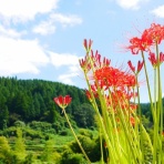 （旧介護がきた！）私という途中経過　アラ還エッセイ