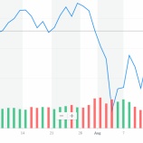 『株式市場の動きが激しくなってきた』の画像