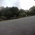 【動画】イキリベンツさん、峠で飛ばしすぎて崖下に吸い込まれてしまう