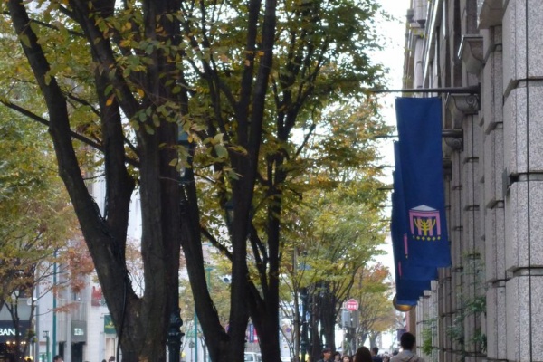 キルトラボ 15年11月