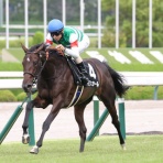「お世話になりました」哀愁の占い師　朱川森(あけがわしん)のレッスルなブログ