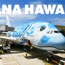 ハワイ旅行2026① 成田空港第一ターミナル ラウンジ巡り　( ANAラウンジ ・ 希和 -NOA- ・ ユナイテッドクラブ )  ・ フライングホヌA380 NH182便 機内食