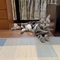 銀誠ちゃん、またね～