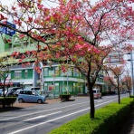 ６００字の教育学