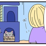 『「の」がお気に入りらしい』の画像
