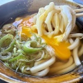 函館市豊川町27 函館魚市場食堂 魚いち亭 その14 月見うどん550円