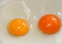 卵片手で割るやつあるやん？