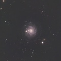 始めて撮ったこじし座のNGC3344銀河 ☆彡