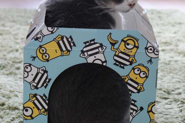 続 いっくんのそれゆけ一球入魂 17年08月 Powered By ライブドアブログ