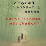 コミーの心の窓