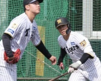 【朗報】谷端、シート打撃で初打席初安打！谷端が本物ならオールスター打線になってまう