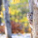 目線を変えると