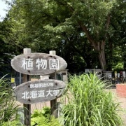 北大植物園で見た南極犬タロ（剥製）とエゾリス