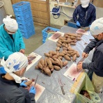 酢を造るといふ仕事｜富士酢醸造元　飯尾醸造