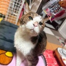 心配事を前向きに変える