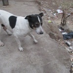 カイロ～天使たちの暮らす街～