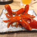 癒え待ちの月‐イエマチノツキ‐