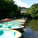 ２０２６年５月１０日亀山湖その１