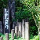 もう予約した？自然のなかで過ごす週末。ファミリーにも初心者にも◎。市民の森キャンプ場、絶賛予約受付中。