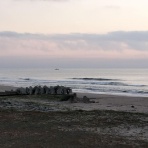 Ｌｏｎｇｂｏａｒｄｅｒ’ｓ　Ｃａｆｅ