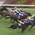 【競馬】ジュウリョクピエロVSモンローウォーク