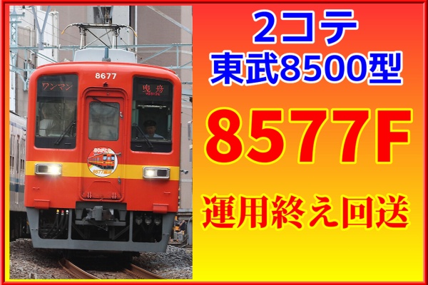 湘南色の部屋（Shonan-color train）