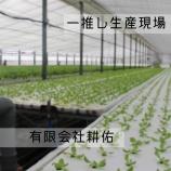 『一推し生産現場    ～有限会社 耕佑～』の画像