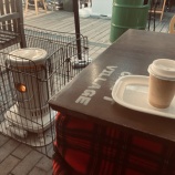 『アピールと自然体【ブランディング學】 vol.3174』の画像