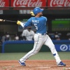 新外国人野手のOP戦成績