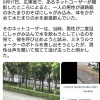 経済崩壊の中国で、道路脇の水たまりに直接口をつけて汚水を飲む男性が現れる