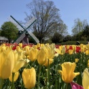 兵庫県立フラワーセンター（加西市）