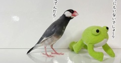 迷子のケロ太とセラ