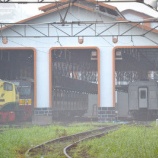 『週刊マンガライレポートVol.168』の画像