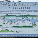 歩くのが楽しくなりそうです！