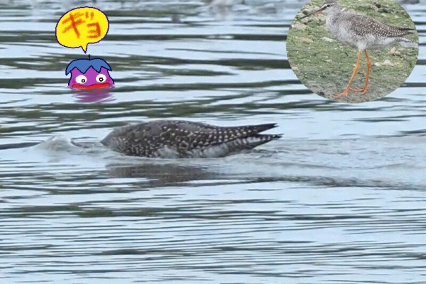 ふじたかなすびページ② 富士鷹なすび (@nasubifujitaka) / Posts / X